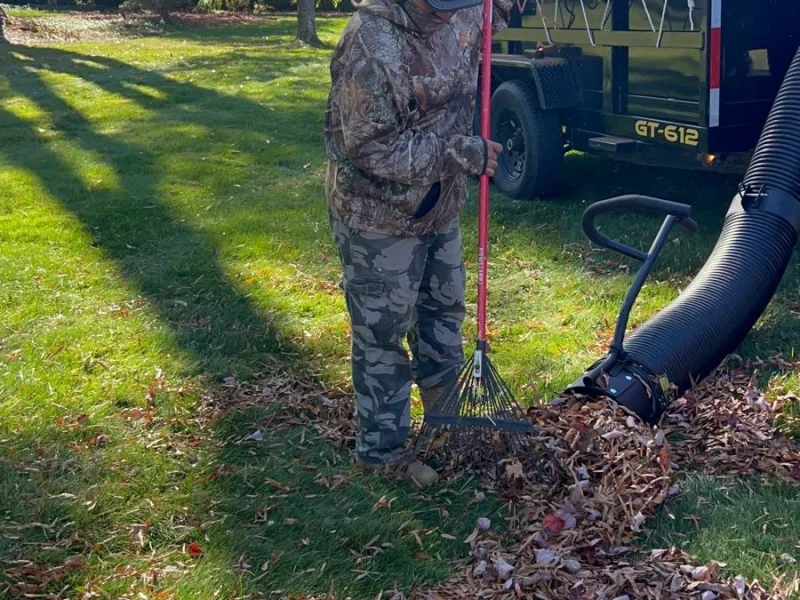 Leaf Removal (9-3) 1