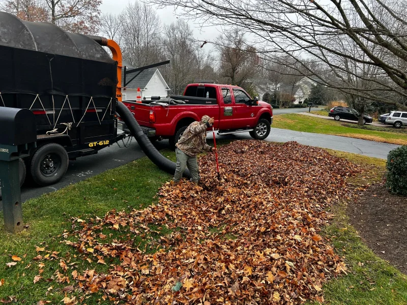Leaf Removal (9-3) 3