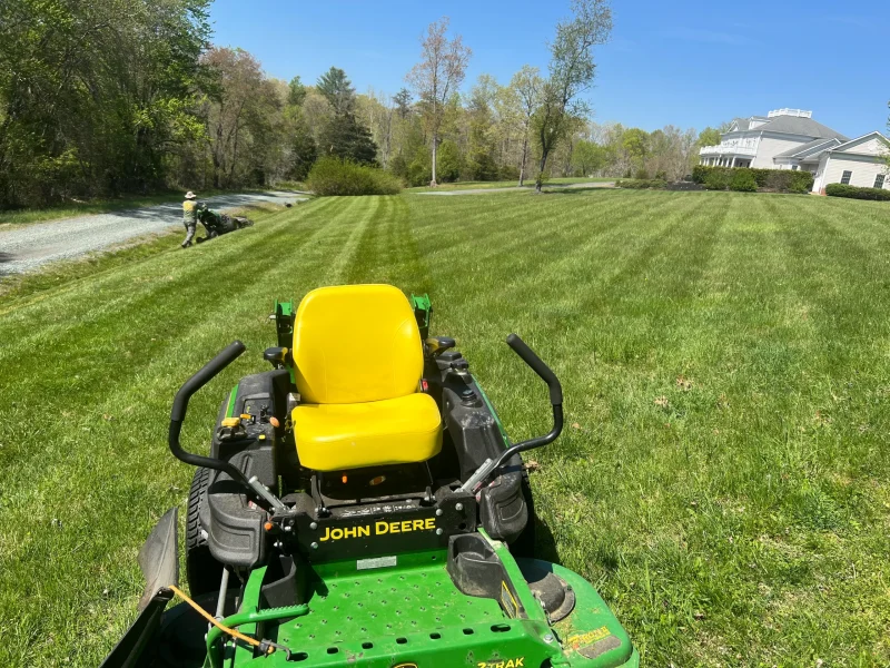 Mowing 1
