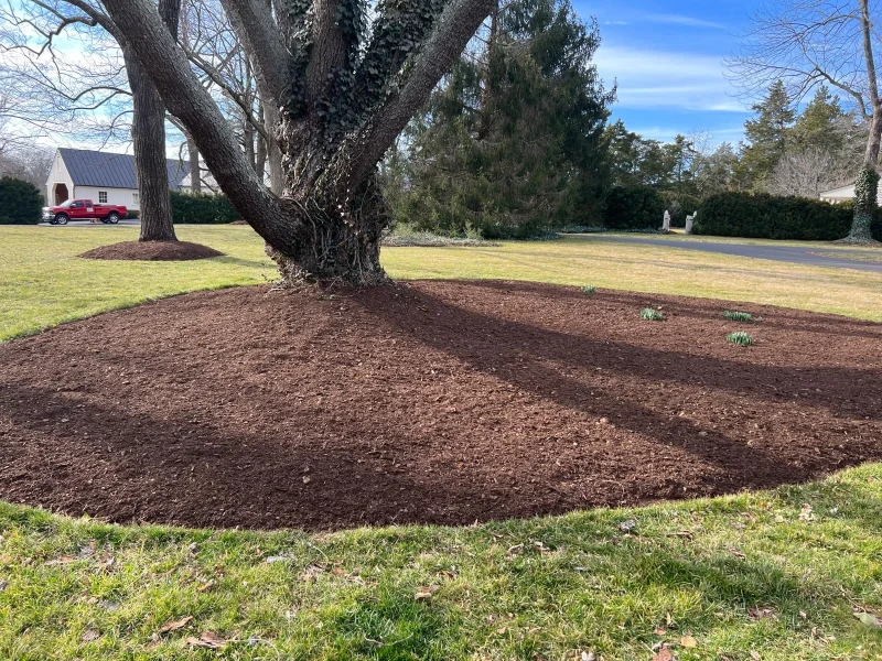 Mulching Edging (9-3) 2