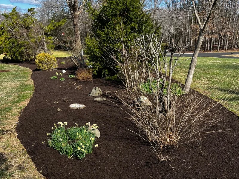 Mulching Edging (9-3) 5