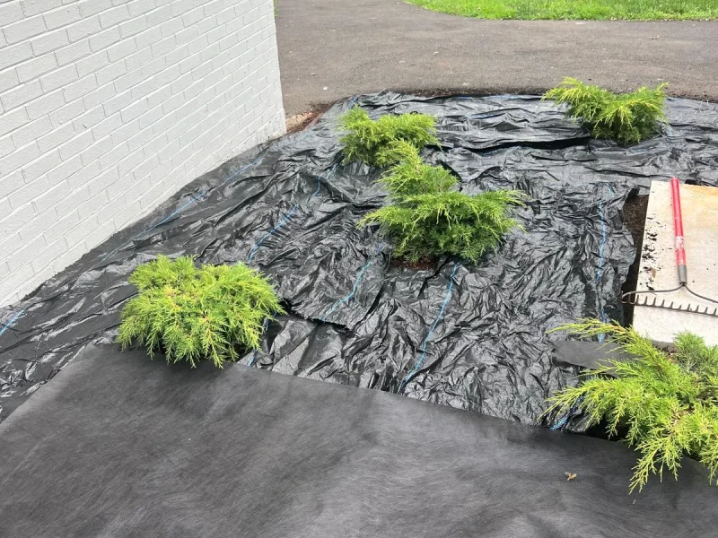 Plant Installation (9-3) 1
