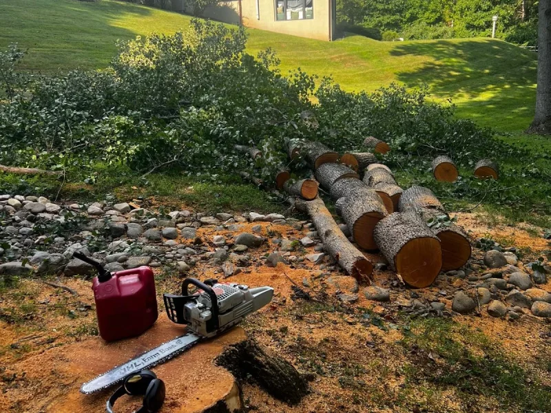 Tree Services (9-3) 5